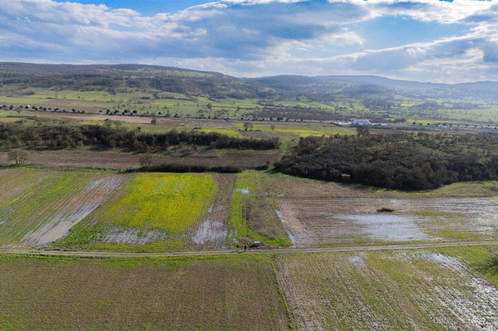 C21 LOCA GÖKÇEYAZI'DA HOBİ BAHÇESİNE UYGUN SÜPER TARLA