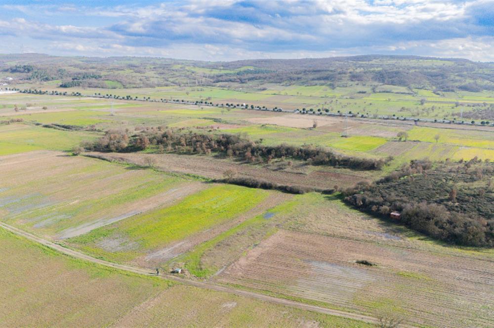 C21 LOCA GÖKÇEYAZI'DA HOBİ BAHÇESİNE UYGUN SÜPER TARLA