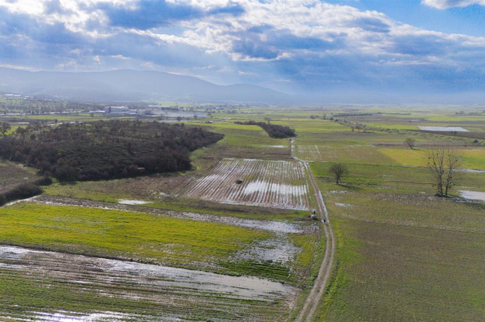 C21 LOCA GÖKÇEYAZI'DA HOBİ BAHÇESİNE UYGUN SÜPER TARLA