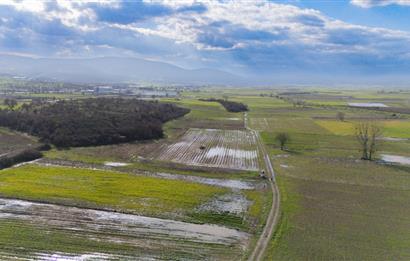 C21 LOCA GÖKÇEYAZI'DA HOBİ BAHÇESİNE UYGUN SÜPER TARLA