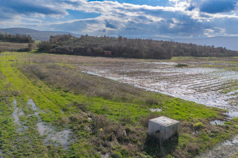 C21 LOCA GÖKÇEYAZI'DA HOBİ BAHÇESİNE UYGUN SÜPER TARLA
