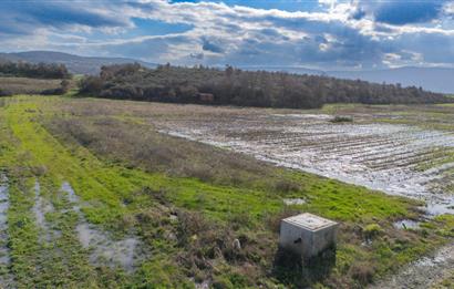 C21 LOCA GÖKÇEYAZI'DA HOBİ BAHÇESİNE UYGUN SÜPER TARLA