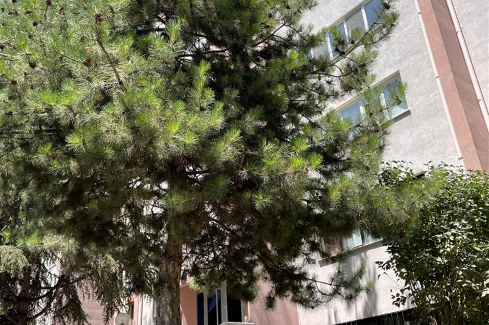 OYAK 3 SİTESİ 3. KAT KİRALIK DAİRE