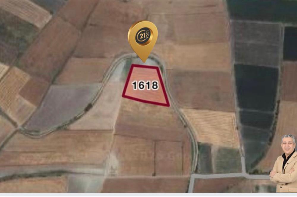 C21 LOCA'DAN ALTIEYLÜL YENİCE SATILIK TARLA
