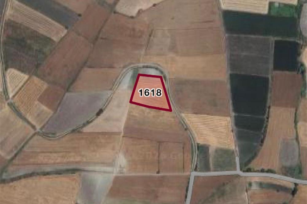 C21 LOCA'DAN ALTIEYLÜL YENİCE SATILIK TARLA