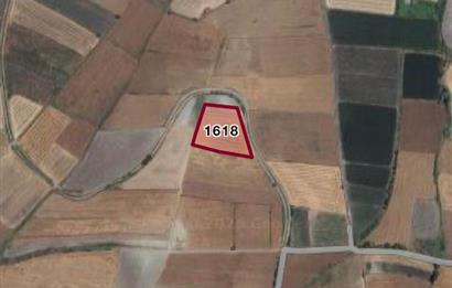 C21 LOCA'DAN ALTIEYLÜL YENİCE SATILIK TARLA