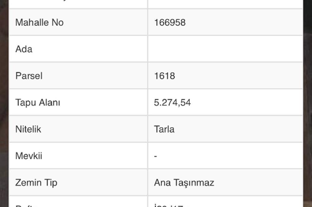 C21 LOCA'DAN ALTIEYLÜL YENİCE SATILIK TARLA