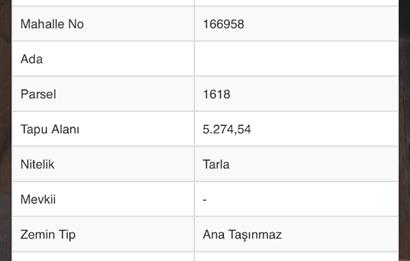 C21 LOCA'DAN ALTIEYLÜL YENİCE SATILIK TARLA