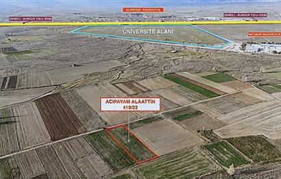 C21 LOFT'TAN, ACIPAYAM ALAATTİN'DE,KAD.YOL 2134 M² SATILIK TARLA