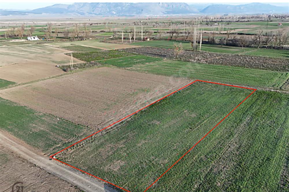 C21 LOFT'TAN, ACIPAYAM ALAATTİN'DE,KAD.YOL 2134 M² SATILIK TARLA