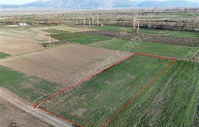 C21 LOFT'TAN, ACIPAYAM ALAATTİN'DE,KAD.YOL 2134 M² SATILIK TARLA