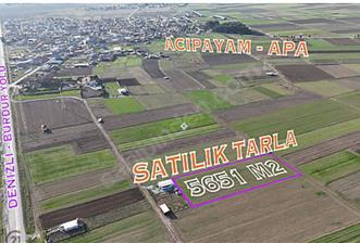 C21 LOFT'TAN,ACIPAYAM APA'DA,5651 M2 KAD.YOLU OLAN SATILIK TARLA - 2 - 33285