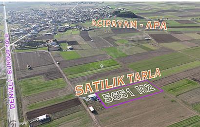 C21 LOFT'TAN,ACIPAYAM APA'DA,5651 M2 KAD.YOLU OLAN SATILIK TARLA