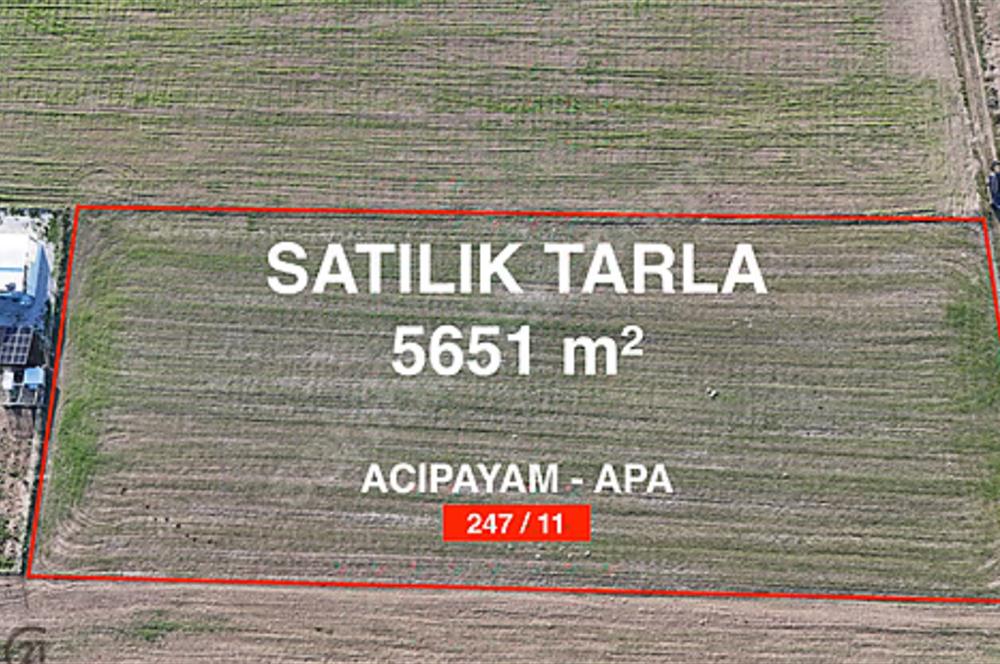 C21 LOFT'TAN,ACIPAYAM APA'DA,5651 M2 KAD.YOLU OLAN SATILIK TARLA