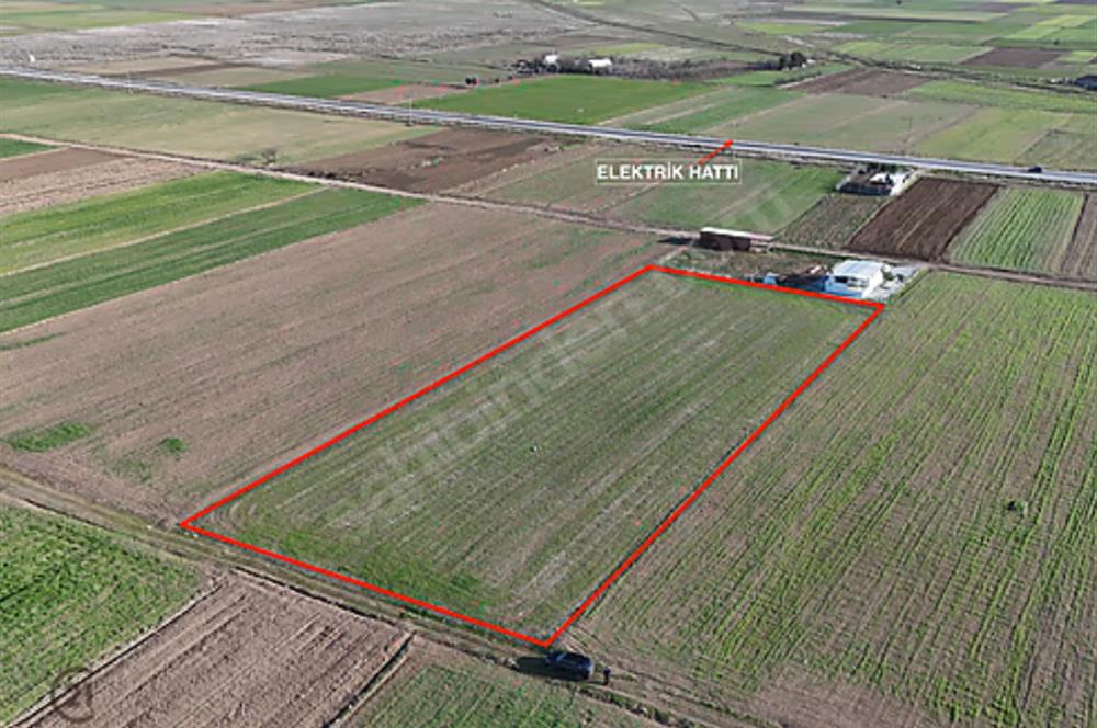 C21 LOFT'TAN,ACIPAYAM APA'DA,5651 M2 KAD.YOLU OLAN SATILIK TARLA