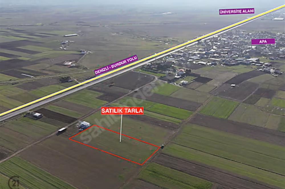 C21 LOFT'TAN,ACIPAYAM APA'DA,5651 M2 KAD.YOLU OLAN SATILIK TARLA
