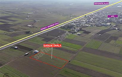 C21 LOFT'TAN,ACIPAYAM APA'DA,5651 M2 KAD.YOLU OLAN SATILIK TARLA