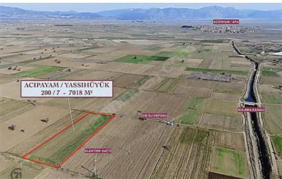 C21 LOFT'TAN,ACIPAYAM YASSIHÜYÜK'TE, 7018 M² SATILIK TARLA