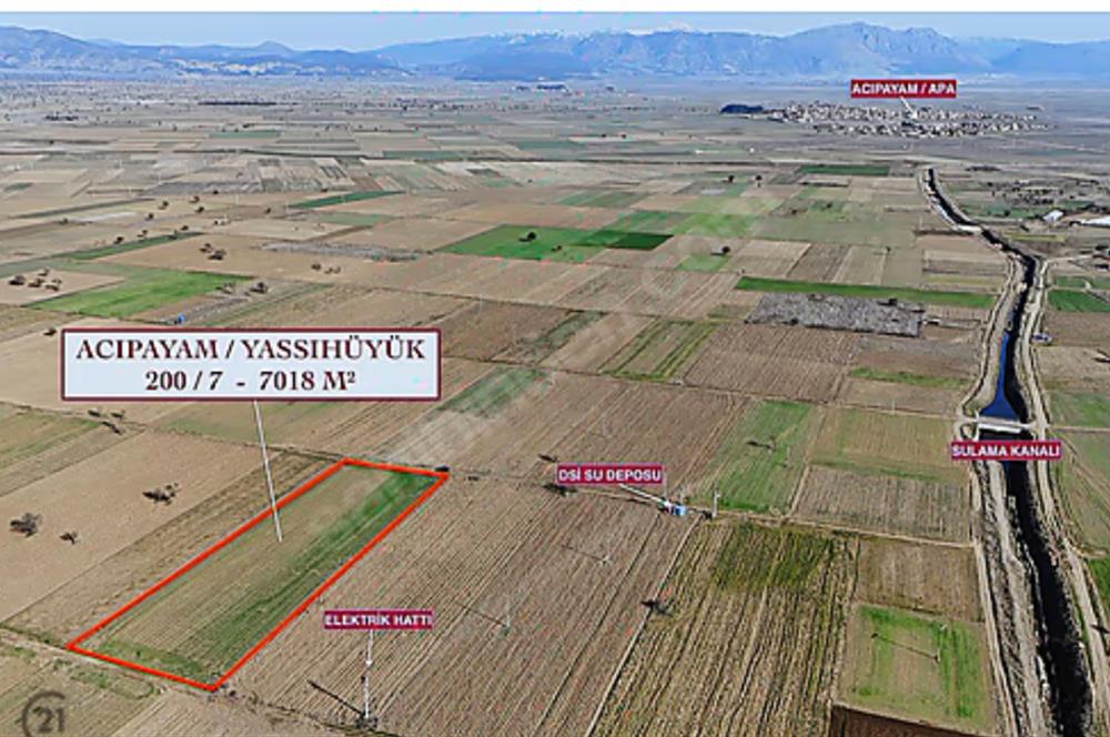 C21 LOFT'TAN,ACIPAYAM YASSIHÜYÜK'TE, 7018 M² SATILIK TARLA