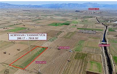 C21 LOFT'TAN,ACIPAYAM YASSIHÜYÜK'TE, 7018 M² SATILIK TARLA