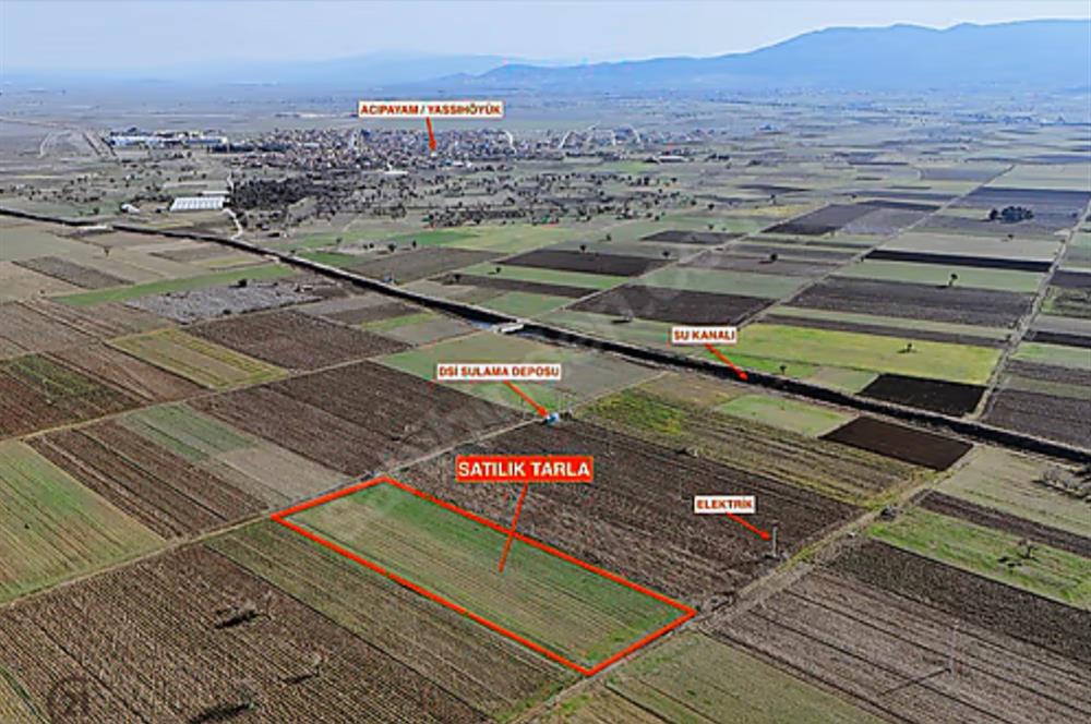 C21 LOFT'TAN,ACIPAYAM YASSIHÜYÜK'TE, 7018 M² SATILIK TARLA