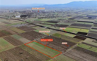 C21 LOFT'TAN,ACIPAYAM YASSIHÜYÜK'TE, 7018 M² SATILIK TARLA