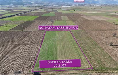 C21 LOFT'TAN,ACIPAYAM YASSIHÜYÜK'TE, 7018 M² SATILIK TARLA