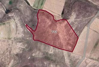 CENTURY21 PLUS'DAN İSCEHİSAR ÇALIŞLAR'DA SATILIK TARLA - 1 - 33302