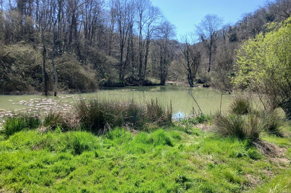 Zekeriyaköy Basın Yayın Sitesi'nde Kaçırılmaz Fırsat 