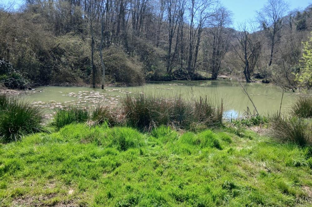 Zekeriyaköy Basın Yayın Sitesi'nde Kaçırılmaz Fırsat 