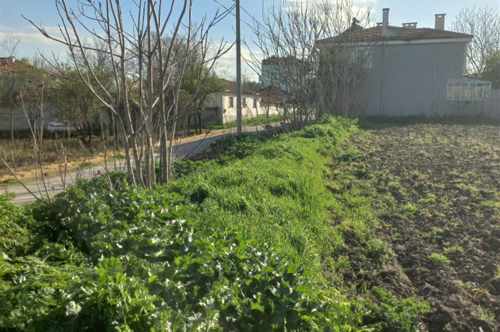 C.21 LOCA ALTIEYLÜL PAŞAKÖY MAH.SATILIK 4664 M2 FIRSAT ARSA