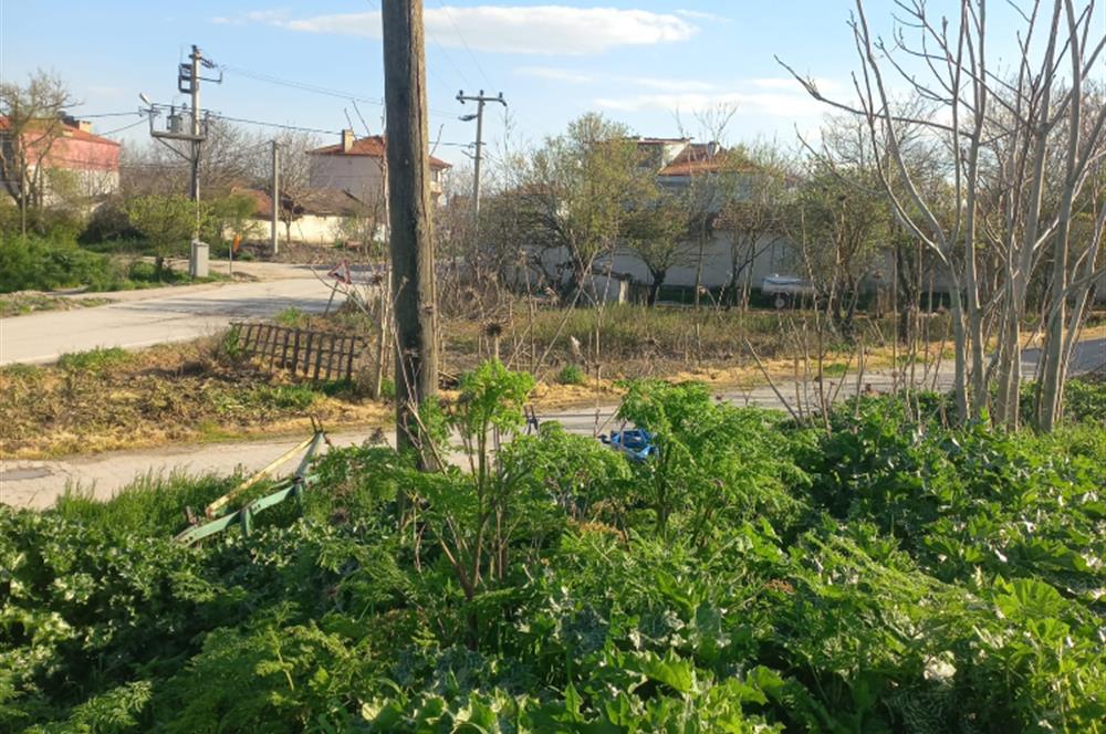 C.21 LOCA ALTIEYLÜL PAŞAKÖY MAH.SATILIK 4664 M2 FIRSAT ARSA