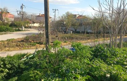 C.21 LOCA ALTIEYLÜL PAŞAKÖY MAH.SATILIK 4664 M2 FIRSAT ARSA