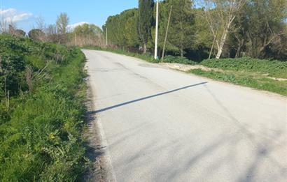 C.21 LOCA ALTIEYLÜL PAŞAKÖY MAH.SATILIK 4664 M2 FIRSAT ARSA