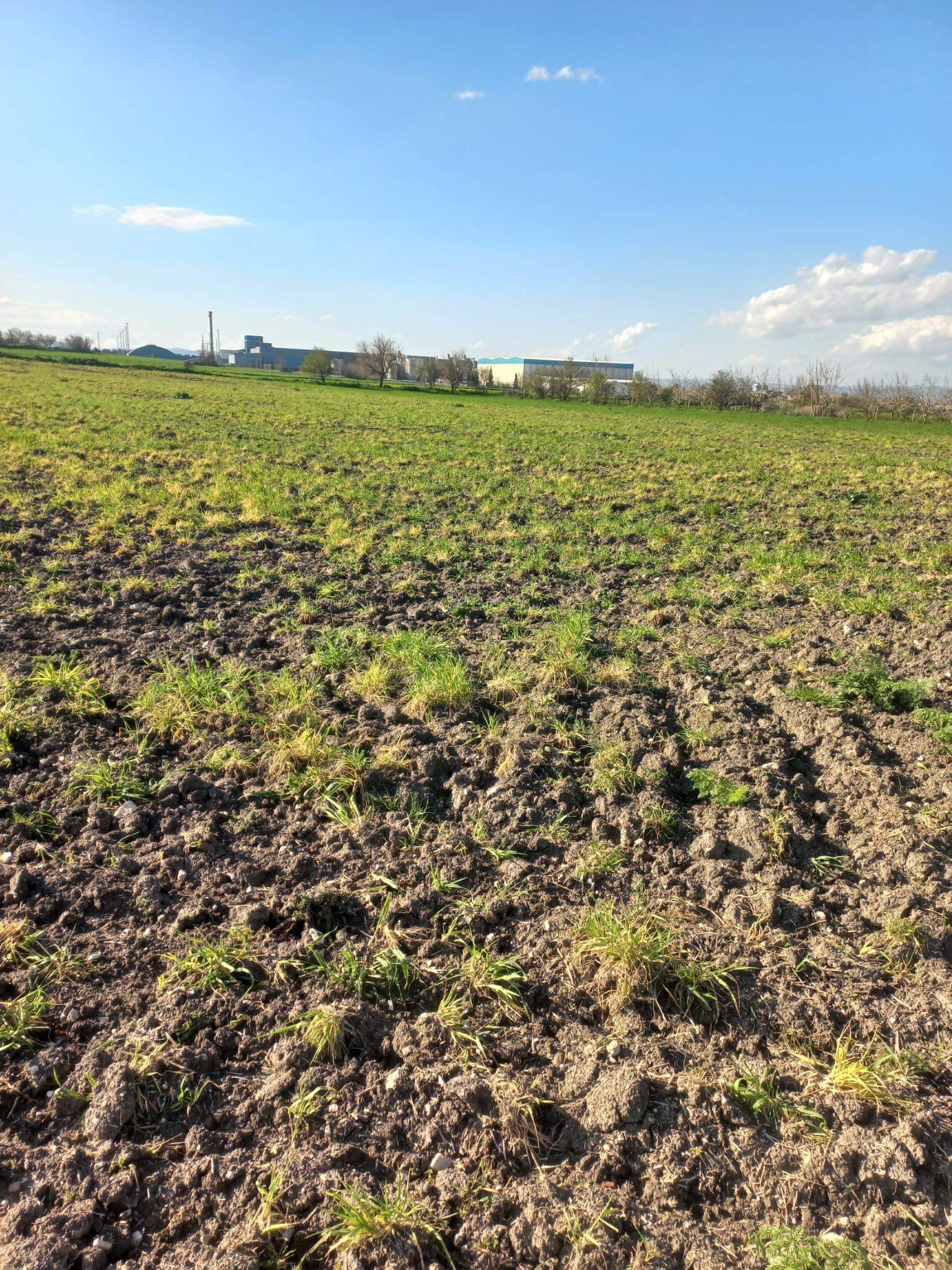 C.21 LOCA ALTIEYLÜL PAŞAKÖY MAH.SATILIK 4664 M2 FIRSAT ARSA