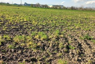 C.21 LOCA ALTIEYLÜL PAŞAKÖY MAH.SATILIK 4664 M2 FIRSAT ARSA - 1 - 33341