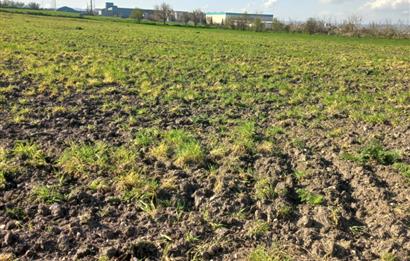 C.21 LOCA ALTIEYLÜL PAŞAKÖY MAH.SATILIK 4664 M2 FIRSAT ARSA