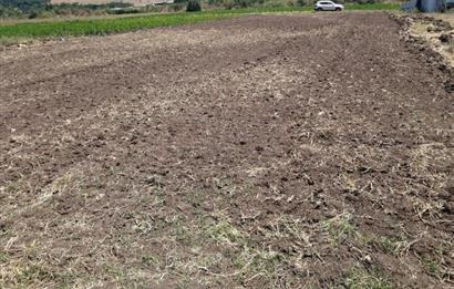 C21 BAL'DAN KARESİ KOCAAVŞAR MAH.DE SATILIK 1177 M2 TARLA