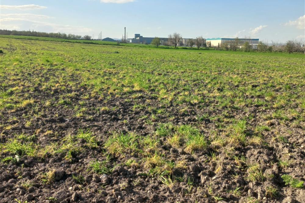 C.21 LOCA ALTIEYLÜL PAŞAKÖY MAH.SATILIK 4664 M2 FIRSAT ARSA