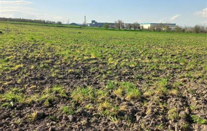 C.21 LOCA ALTIEYLÜL PAŞAKÖY MAH.SATILIK 4664 M2 FIRSAT ARSA