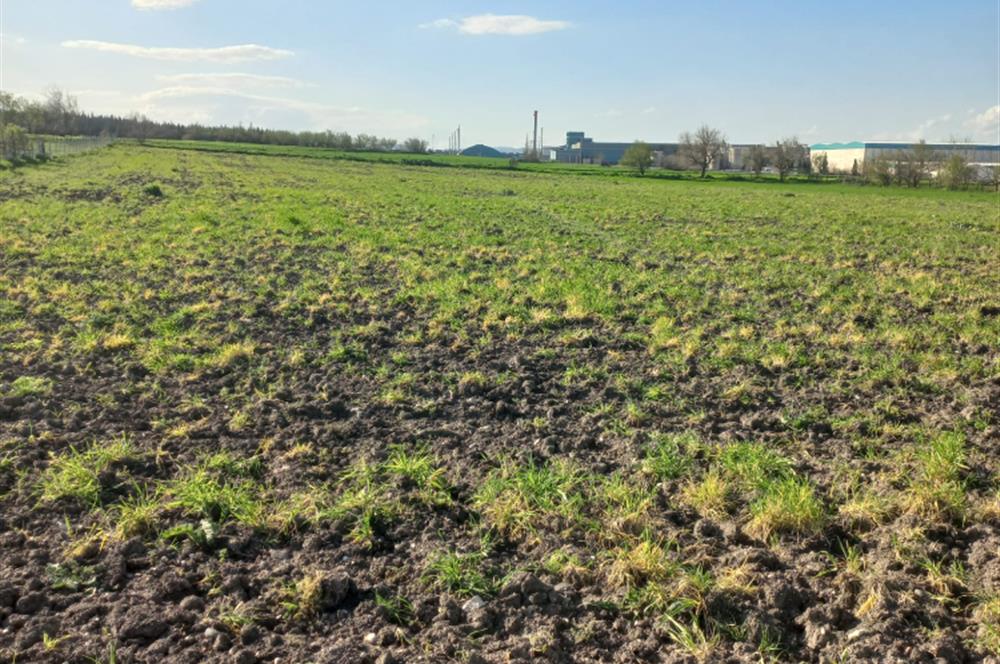 C.21 LOCA ALTIEYLÜL PAŞAKÖY MAH.SATILIK 4664 M2 FIRSAT ARSA