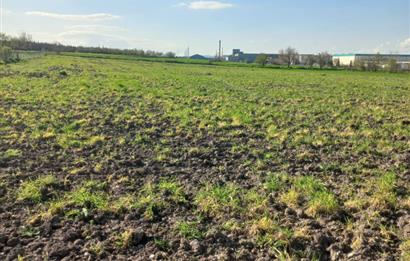 C.21 LOCA ALTIEYLÜL PAŞAKÖY MAH.SATILIK 4664 M2 FIRSAT ARSA