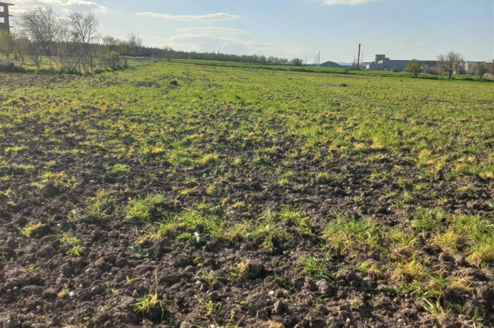 C.21 LOCA ALTIEYLÜL PAŞAKÖY MAH.SATILIK 4664 M2 FIRSAT ARSA