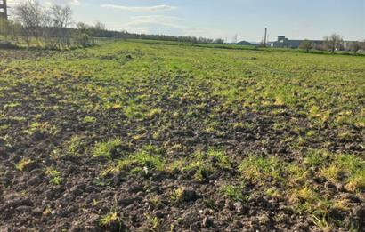 C.21 LOCA ALTIEYLÜL PAŞAKÖY MAH.SATILIK 4664 M2 FIRSAT ARSA