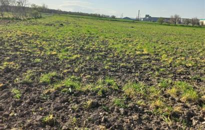 C.21 LOCA ALTIEYLÜL PAŞAKÖY MAH.SATILIK 4664 M2 FIRSAT ARSA