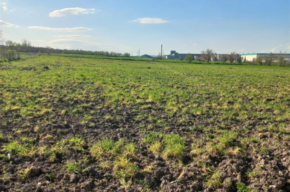 C.21 LOCA ALTIEYLÜL PAŞAKÖY MAH.SATILIK 4664 M2 FIRSAT ARSA