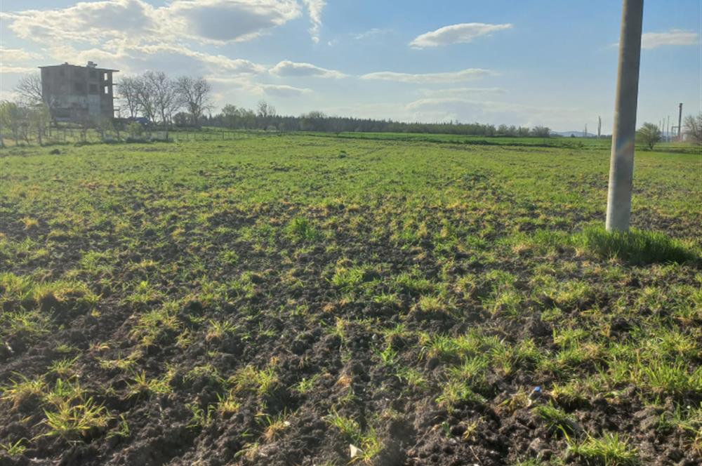 C.21 LOCA ALTIEYLÜL PAŞAKÖY MAH.SATILIK 4664 M2 FIRSAT ARSA