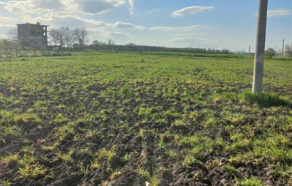 C.21 LOCA ALTIEYLÜL PAŞAKÖY MAH.SATILIK 4664 M2 FIRSAT ARSA