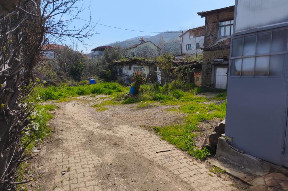 C21 Cius; Akharem mahallesinde Satılık Köy evi+İmarlı Arsa