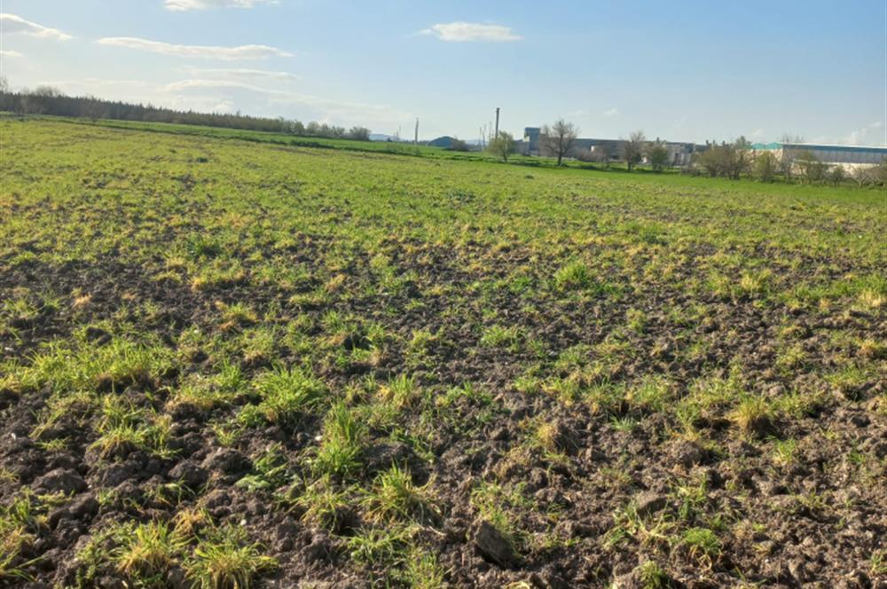 C.21 LOCA ALTIEYLÜL PAŞAKÖY MAH.SATILIK 4664 M2 FIRSAT ARSA